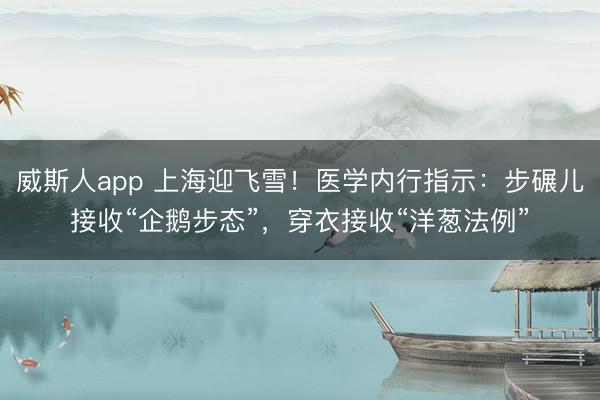 威斯人app 上海迎飞雪！医学内行指示：步碾儿接收“企鹅步态”，穿衣接收“洋葱法例”