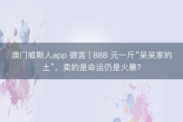 澳门威斯人app 微言 | 888 元一斤“呆呆家的土”，卖的是命运仍是火暴？