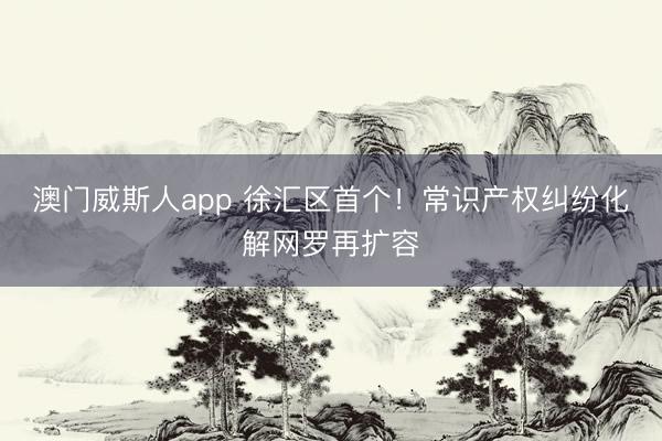 澳门威斯人app 徐汇区首个！常识产权纠纷化解网罗再扩容