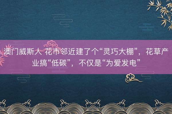 澳门威斯人 花市邻近建了个“灵巧大棚”，花草产业搞“低碳”，不仅是“为爱发电”