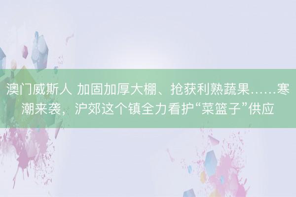 澳门威斯人 加固加厚大棚、抢获利熟蔬果……寒潮来袭，沪郊这个镇全力看护“菜篮子”供应