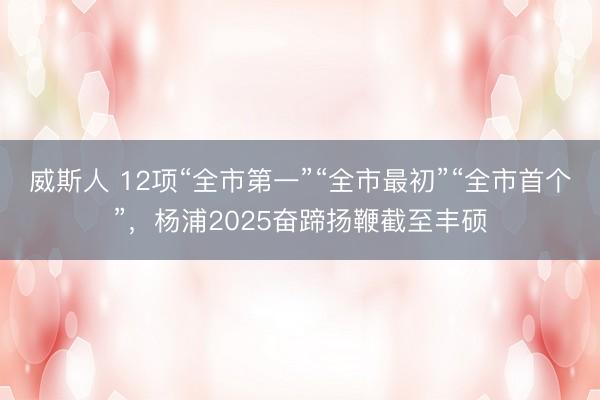 威斯人 12项“全市第一”“全市最初”“全市首个”，杨浦2025奋蹄扬鞭截至丰硕