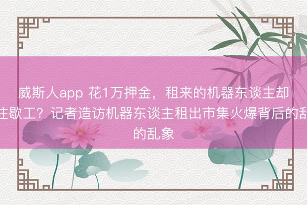 威斯人app 花1万押金，租来的机器东谈主却往往歇工？记者造访机器东谈主租出市集火爆背后的乱象