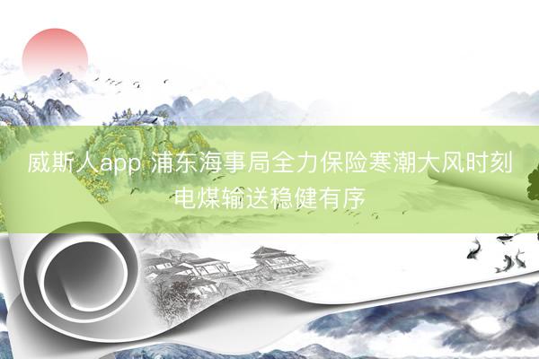 威斯人app 浦东海事局全力保险寒潮大风时刻电煤输送稳健有序