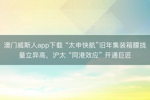 澳门威斯人app下载 “太申快航”旧年集装箱朦拢量立异高，沪太 “同港效应” 开通巨匠