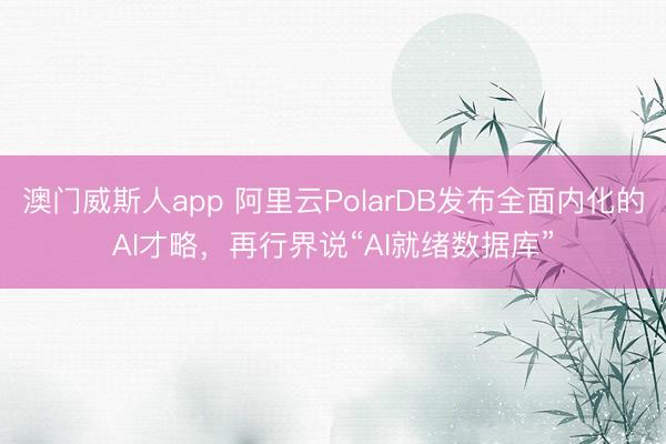 澳门威斯人app 阿里云PolarDB发布全面内化的AI才略，再行界说“AI就绪数据库”