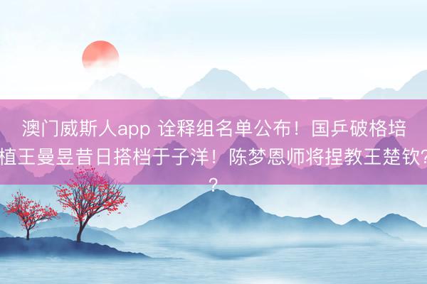 澳门威斯人app 诠释组名单公布！国乒破格培植王曼昱昔日搭档于子洋！陈梦恩师将捏教王楚钦？