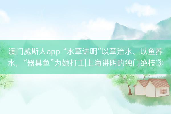 澳门威斯人app “水草讲明”以草治水、以鱼养水，“器具鱼”为她打工|上海讲明的独门绝技③
