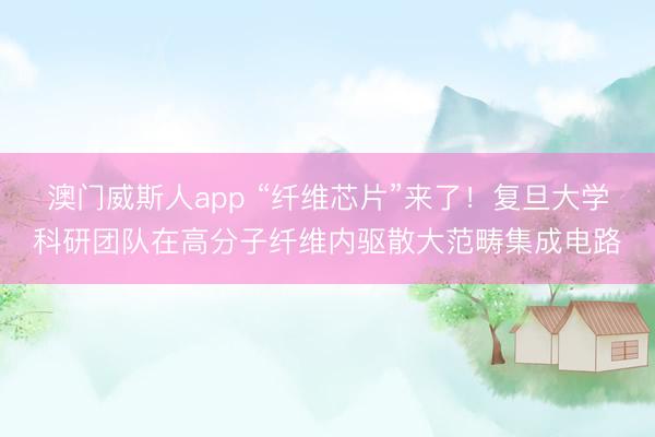 澳门威斯人app “纤维芯片”来了!复旦大学科研团队在高分子纤维内驱散大范畴集成电路