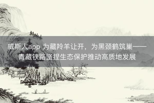 威斯人app 为藏羚羊让开，为黑颈鹤筑巢——青藏铁路坚捏生态保护推动高质地发展