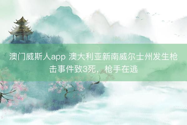 澳门威斯人app 澳大利亚新南威尔士州发生枪击事件致3死，枪手在逃