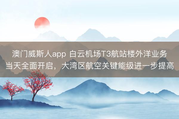 澳门威斯人app 白云机场T3航站楼外洋业务当天全面开启，大湾区航空关键能级进一步提高