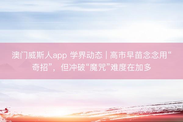 澳门威斯人app 学界动态 | 高市早苗念念用“奇招”，但冲破“魔咒”难度在加多