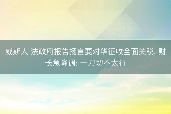 威斯人 法政府报告扬言要对华征收全面关税, 财长急降调: 一刀切不太行