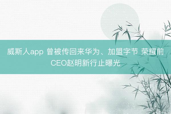 威斯人app 曾被传回来华为、加盟字节 荣耀前CEO赵明新行止曝光