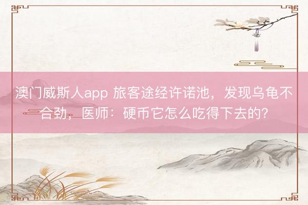 澳门威斯人app 旅客途经许诺池,发现乌龟不合劲,医师:硬币它怎么吃得下去的?
