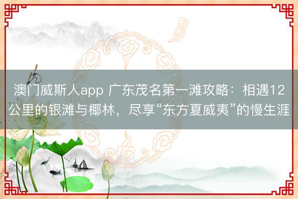 澳门威斯人app 广东茂名第一滩攻略：相遇12公里的银滩与椰林，尽享“东方夏威夷”的慢生涯