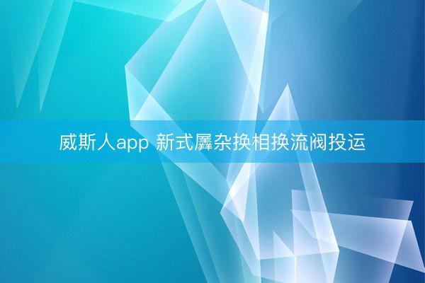 威斯人app 新式羼杂换相换流阀投运