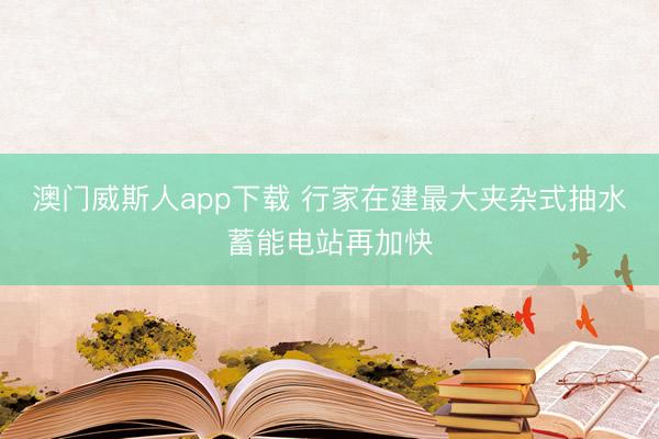 澳门威斯人app下载 行家在建最大夹杂式抽水蓄能电站再加快