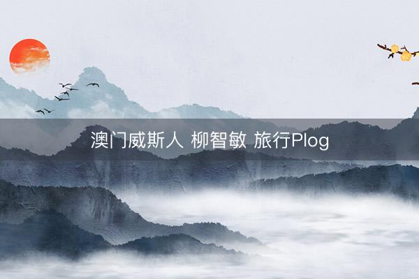 澳门威斯人 柳智敏 旅行Plog