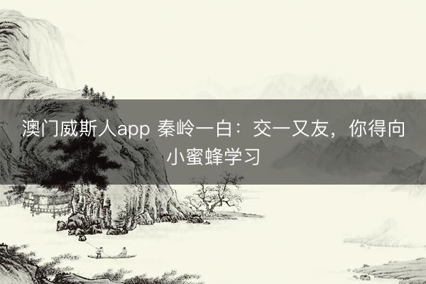 澳门威斯人app 秦岭一白：交一又友，你得向小蜜蜂学习