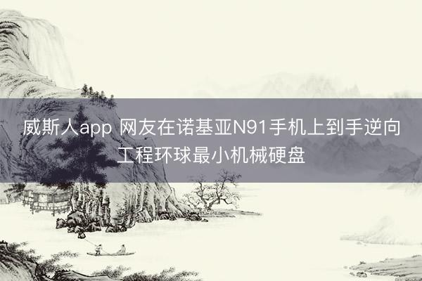 威斯人app 网友在诺基亚N91手机上到手逆向工程环球最小机械硬盘