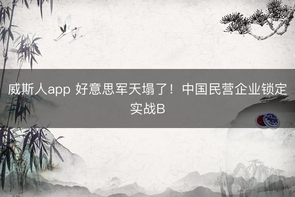 威斯人app 好意思军天塌了！中国民营企业锁定实战B