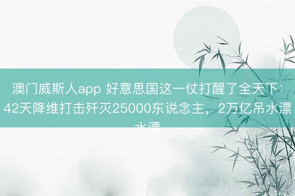 澳门威斯人app 好意思国这一仗打醒了全天下:42天降维打击歼灭25000东说念主,2万亿吊水漂