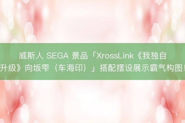 威斯人 SEGA 景品「XrossLink《我独自升级》向坂雫（车海印）」搭配摆设展示霸气构图！
