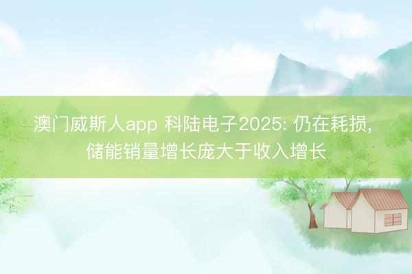 澳门威斯人app 科陆电子2025: 仍在耗损， 储能销量增长庞大于收入增长