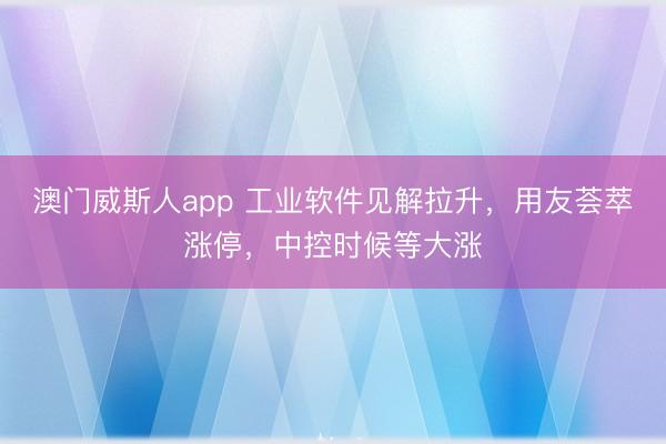 澳门威斯人app 工业软件见解拉升，用友荟萃涨停，中控时候等大涨