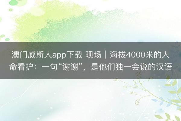 澳门威斯人app下载 现场｜海拔4000米的人命看护：一句“谢谢”，是他们独一会说的汉语