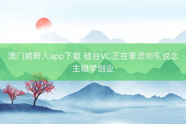澳门威斯人app下载 硅谷VC正在豪恣劝东说念主辍学创业