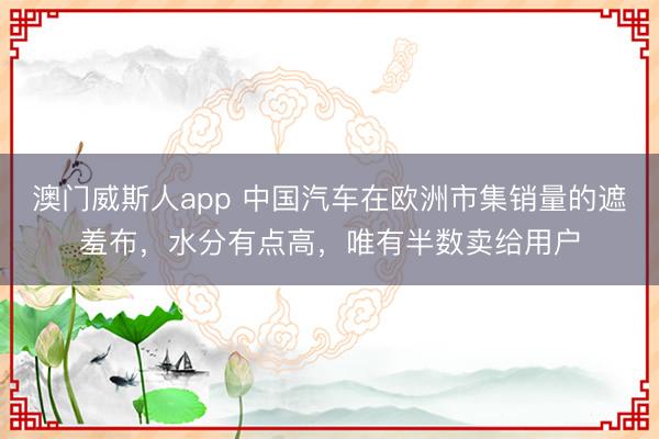 澳门威斯人app 中国汽车在欧洲市集销量的遮羞布，水分有点高，唯有半数卖给用户