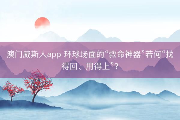 澳门威斯人app 环球场面的“救命神器”若何“找得回、用得上”？