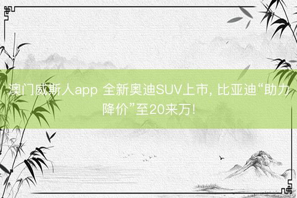 澳门威斯人app 全新奥迪SUV上市， 比亚迪“助力降价”至20来万!