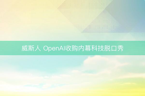 威斯人 OpenAI收购内幕科技脱口秀