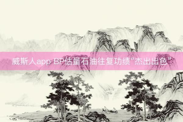 威斯人app BP估量石油往复功绩“杰出出色”