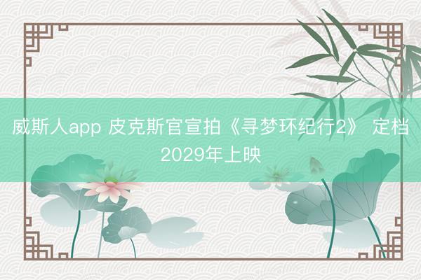 威斯人app 皮克斯官宣拍《寻梦环纪行2》 定档2029年上映