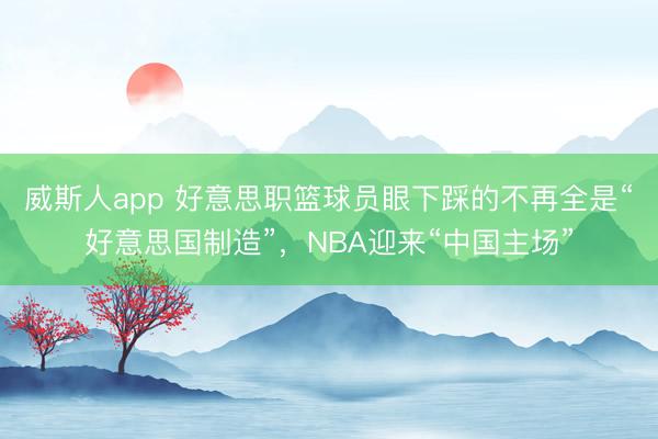 威斯人app 好意思职篮球员眼下踩的不再全是“好意思国制造”，NBA迎来“中国主场”
