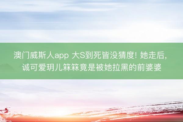 澳门威斯人app 大S到死皆没猜度! 她走后， 诚可爱玥儿箖箖竟是被她拉黑的前婆婆