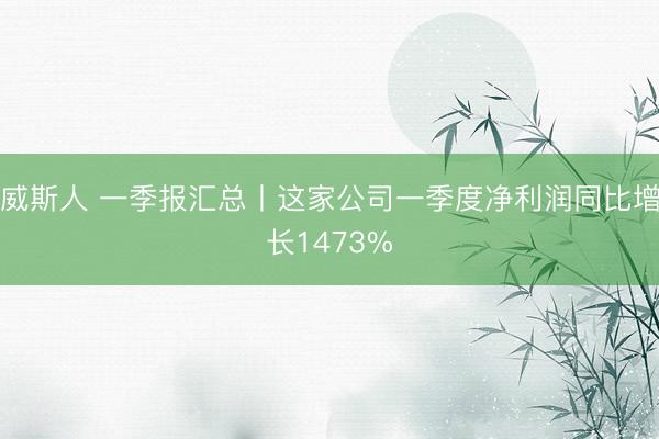 威斯人 一季报汇总丨这家公司一季度净利润同比增长1473%