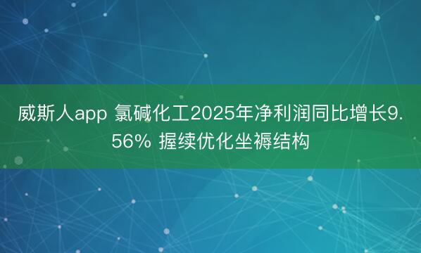 威斯人app 氯碱化工2025年净利润同比增长9.56% 握续优化坐褥结构