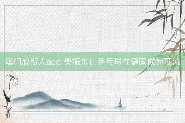 澳门威斯人app 樊振东让乒乓球在德国成为顶流