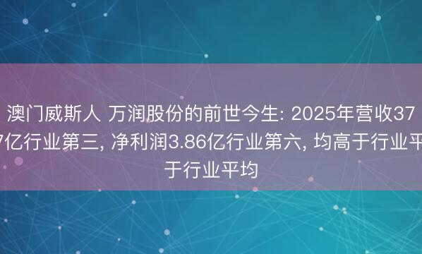 澳门威斯人 万润股份的前世今生: 2025年营收37.17亿行业第三， 净利润3.86亿行业第六， 均高于行业平均