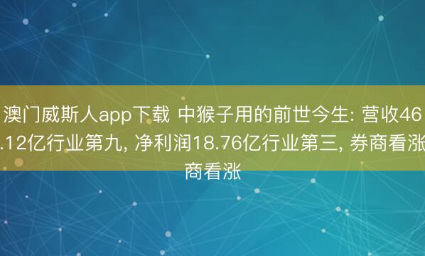 澳门威斯人app下载 中猴子用的前世今生: 营收46.12亿行业第九， 净利润18.76亿行业第三， 券商看涨