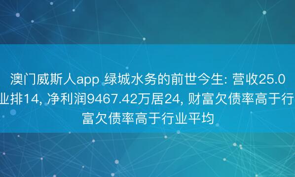 澳门威斯人app 绿城水务的前世今生: 营收25.03亿行业排14， 净利润9467.42万居24， 财富欠债率高于行业平均