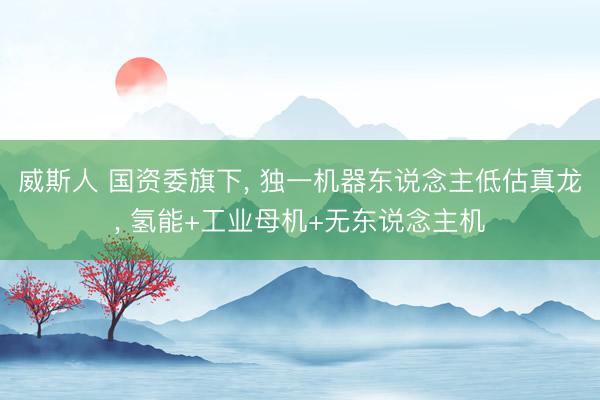 威斯人 国资委旗下， 独一机器东说念主低估真龙， 氢能+工业母机+无东说念主机