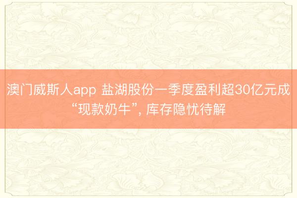 澳门威斯人app 盐湖股份一季度盈利超30亿元成“现款奶牛”， 库存隐忧待解