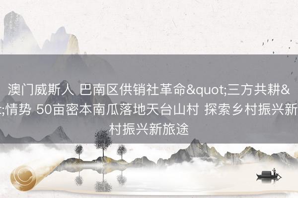 澳门威斯人 巴南区供销社革命"三方共耕"情势 50亩密本南瓜落地天台山村 探索乡村振兴新旅途